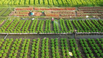 Phong trào xây dựng nông thôn mới ở Bến Tre: Diện mạo mới trên từng thôn, xóm