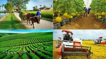 Hoàn thiện thể chế phát triển nông nghiệp, nông dân, nông thôn