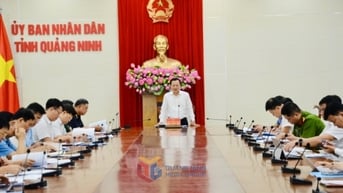 54 chủ tịch xã, phường, đặc khu phải tham gia vào Ban Chỉ đạo 389 tỉnh
