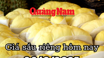 Giá sầu riêng hôm nay 26/6/2025: Tăng vọt gần 9,3 triệu USD với hoạt động nhập khẩu