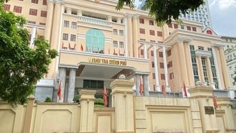 Thanh tra Chính phủ hướng dẫn thực hiện quy định thuộc lĩnh vực quản lý Nhà nước liên quan đến chính quyền địa phương 2 cấp