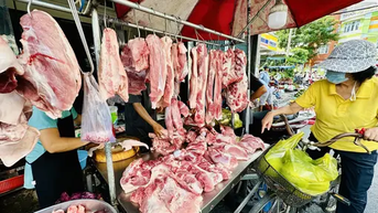 Giá heo hơi hôm nay 26/6: Đồng loạt giảm