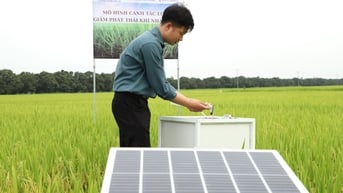 Giải pháp kỹ thuật canh tác lúa góp phần giảm phát thải khí nhà kính