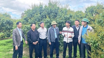 ប្រសិទ្ធភាពនៃអង្គការវិជ្ជាជីវៈ និងសមាគមក្នុងការអភិវឌ្ឍន៍សេដ្ឋកិច្ចសមូហភាព
