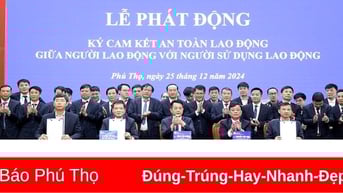 Phát huy truyền thống đưa dòng điện vươn xa