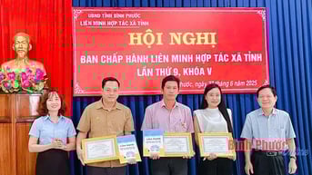 Kinh tế hợp tác tiếp tục khởi sắc, tạo nền tảng bứt phá 