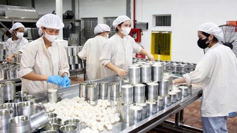 Lục Ngạn: Đẩy mạnh chế biến vải thiều