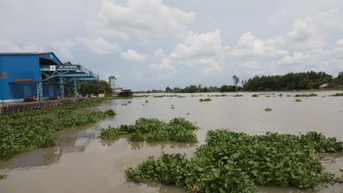 ទន្លេ Vam Co Dong មាន​ភាព​ច្បាស់លាស់ ធានា​ថា​ចរាចរណ៍​រលូន។