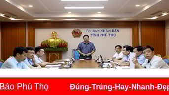 Đảm bảo tiến độ thực hiện Dự án Đường dây 500 kV Lào Cai - Vĩnh Yên