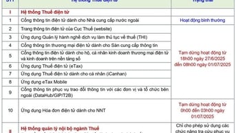Tạm dừng các hệ thống thuế điện tử