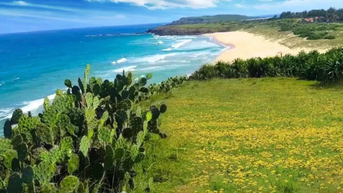 Top 5 địa điểm du lịch Phú Yên mùa hè nhất định bạn phải ghé thăm