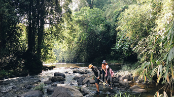 ធ្លាក់​ក្នុង​អន្លង់​ស្នេហ៍​នឹង​សម្រស់​បៃតង​នៃ​តំបន់​អេកូ​ទេសចរណ៍​ដ៏​ល្បី​ចំនួន​៣​ក្នុង​ប្រទេស​ឡាវ