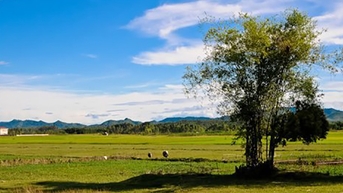 Quê nhà mến yêu