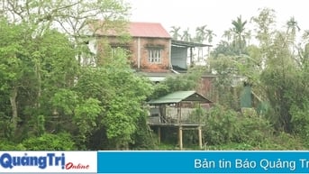 Sông Vĩnh Định đoạn qua thôn Nại Cửu sạt lở khiến người dân bất an