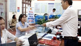 Bộ VHTTDL hướng dẫn triển khai thực hiện các văn bản QPPL về phân cấp, phân quyền, phân định thẩm quyền trong lĩnh vực VHTTDL