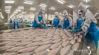 Ca tra, thế mạnh xuất khẩu của tỉnh Đồng Tháp