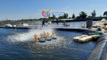 Ứng dụng khoa học công nghệ trong nuôi tôm