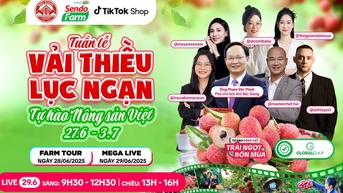 Vải thiều đã chín đỏ trên siêu thị online Sendo Farm