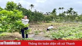 Sống “tốt đời, đẹp đạo” trong đồng bào công giáo huyện Nga Sơn