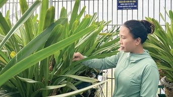 Chuyển hướng thành công