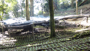 សំណើប្រគល់ភារកិច្ចគ្រប់គ្រង និងរៀបចំពិធីបុណ្យយិនស៊ិន ង៉ុក លីញ ប្រចាំឆ្នាំ