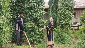 Buôn Thung khởi sắc