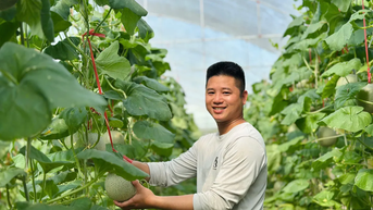 Vườn dưa, nho bạc tỉ của chàng kỹ sư đam mê làm nông nghiệp sạch