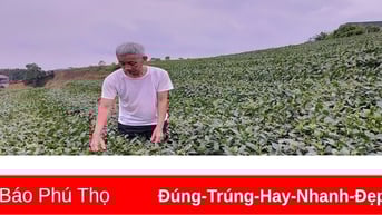 Nâng cao thu nhập cho người dân