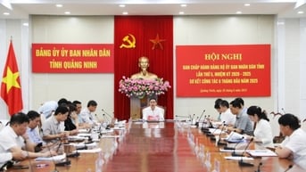 UBND tỉnh triển khai các nghị quyết của HĐND tỉnh
