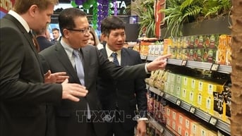 'Góc Việt Nam' đầu tiên tại chuỗi siêu thị lớn của Nga
