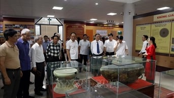 Đánh thức tiềm năng giá trị di sản văn hóa 'Tinh hoa cổ vật Hà Nam'