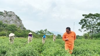 Phát triển sản phẩm OCOP từ tài nguyên bản địa