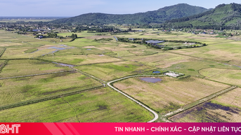 Vì sao hơn 13.000 ha đất nông nghiệp không thể sản xuất lúa vụ hè thu?