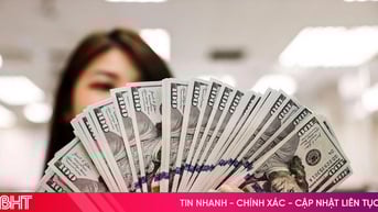 Tỷ giá USD hôm nay 29/6/2025: Cơ bản ổn định