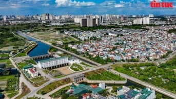 Quy định điều chỉnh cục bộ Quy hoạch đô thị và nông thôn