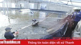 Đầu tư vùng nuôi trồng thủy sản tập trung
