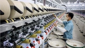 Kỳ vọng sự cộng hưởng từ các quyết sách đột phá
