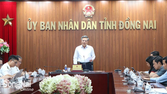 Sẽ kiểm toán 8 vấn đề trong thực hiện chính sách ưu đãi đầu tư tại các khu công nghiệp ở Đồng Nai giai đoạn 2022-2024