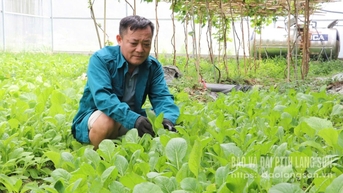 Nên nghiệp nhờ sản xuất an toàn