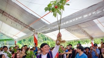 Sâm Ngọc Linh - kết nối giá trị Việt