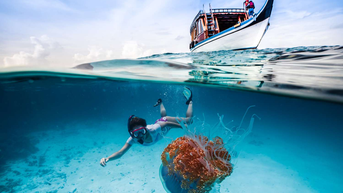 Top 3 trải nghiệm ở Maldives: Thiên đường đích thực dành cho du khách