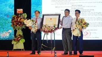 Công bố “Tri thức dân gian về Sâm Ngọc Linh” là Di sản văn hóa phi vật thể quốc gia