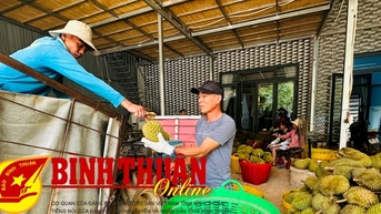 Để phát triển ngành hàng sầu riêng bền vững