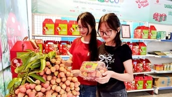 Chú trọng phát triển OCOP xanh