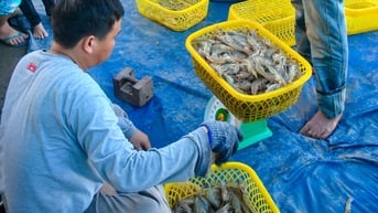 Góc nhìn kinh tế: Tăng trưởng và lo âu