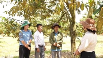 Cùng nông dân sản xuất an toàn