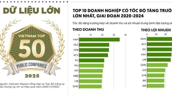 Dữ liệu lớn về Top 50 Công ty Đại chúng uy tín và hiệu quả năm 2025 (VIX50)