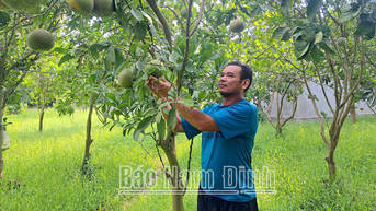 Lan toả tinh thần “Công dân học tập”