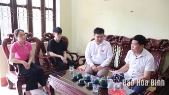 Kỳ vọng vào sự đổi thay, vươn mình của quê hương