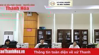 Quy trình nội bộ giải quyết thủ tục hành chính lĩnh vực Nông nghiệp và Môi trường